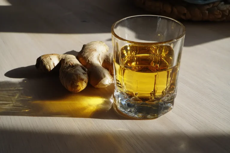 Ingwer Shot Abnehmen Rezept mit peruanischem Ingwer